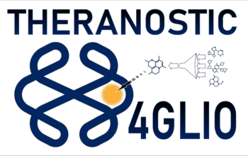 1st International Workshop on the Development of Innovative Theranostic Platforms for GLioblastoma Diagnosis and Treatment